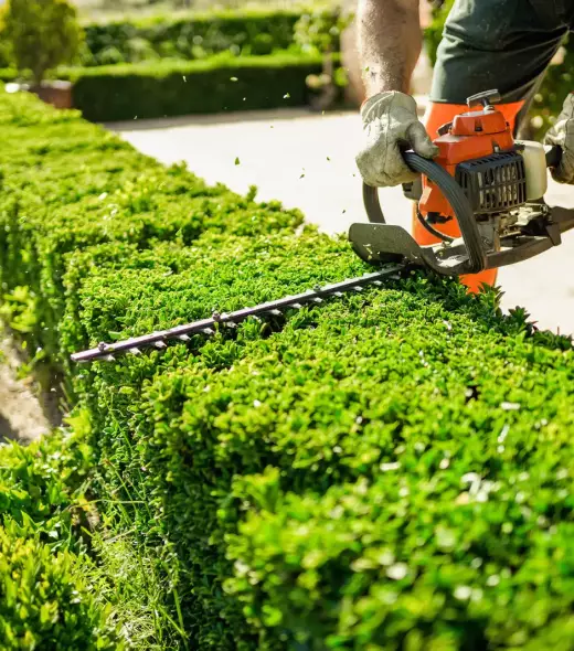 entretien et création de jardin, de l'élagage ainsi que de la maçonnerie paysagère