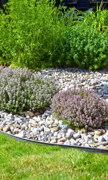 Création et entretien de vos espaces verts