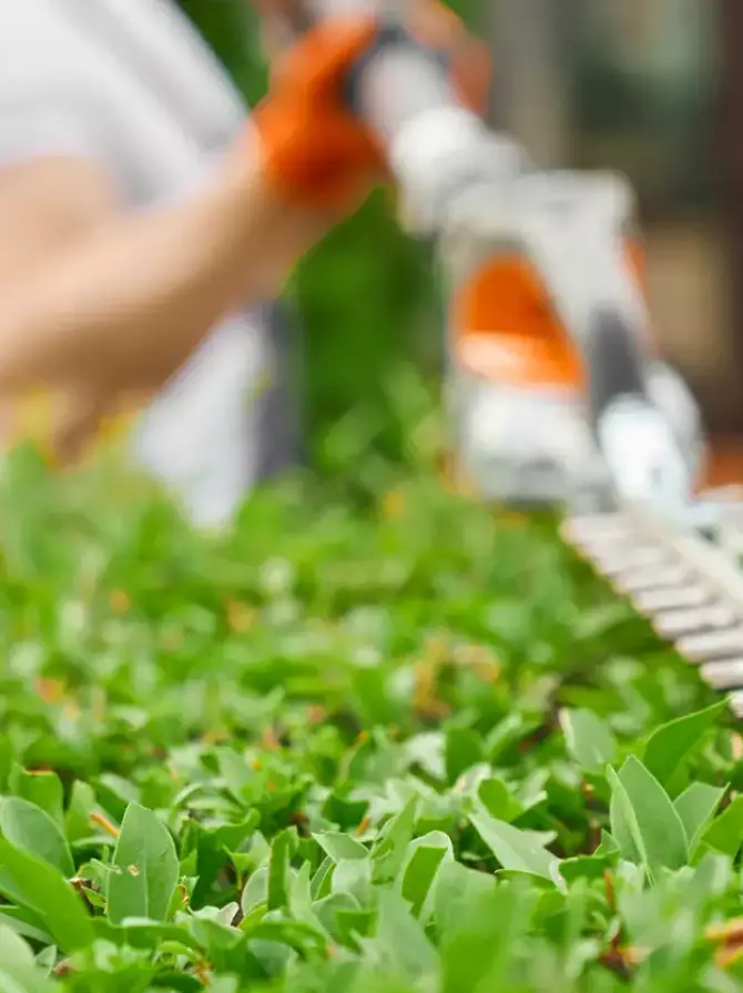 Coupe, Tonte, entretien de jardin et espace vert